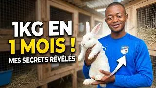 Miniature : Mes Astuces Secrètes: Un Tour À La Ferme De Lapin Pour Prendre Des Leçons De Cuniculture