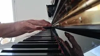 Miniature : It's Raining Men - Paul Shaffer and Paul Jabara (Piano Solo Cover - Extr.)