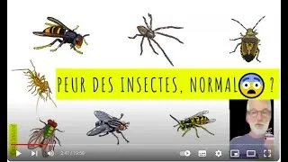 Miniature : La peur des insectes, est-ce normal ? Par François Lasserre. Webinaire de l'Opie