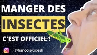 Miniature : MANGER DES INSECTES EN FRANCE 🦗🐜 🇫🇷 : SOMMES NOUS CHEZ LES FOUS ?