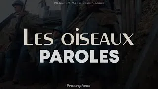 Miniature : PIERRE DE MAERE  -  Les oiseaux | PAROLES // LYRICS