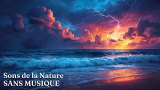 Miniature : Tempêtes Océaniques : Sons apaisants de l'océan pour une réflexion paisible | NSO ☔️🌊