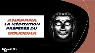 Miniature : Anapana, la méditation préférée du Bouddha