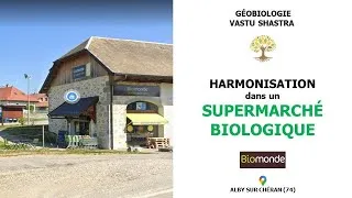 Miniature : Harmonisation Vastu Shastra dans un Supermarché bio à Alby sur chéran
