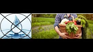 Miniature : Faire des légumes sens eau