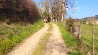 Miniature : Enquête d'ethnobotanique en territoire Beaujolais