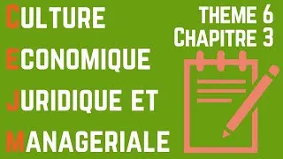 Miniature : CEJM - Th6 Chap3 : Les choix stratégiques de l'entreprise