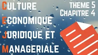 Miniature : CEJM - Th5 Chap4 : L'environnement juridique du salarié