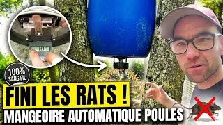 Miniature : Mangeoire automatique poule anti rongeur : la solution ultime !