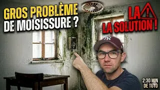 Miniature : ​Moisissures chez vous ? La solution RADICALE (en 2 minutes !)
