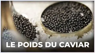 Miniature : Caviar Petrossian : pesons un grain de luxe !