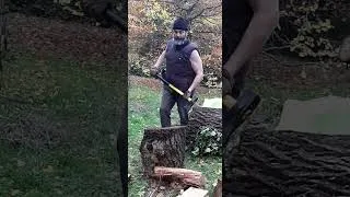 Miniature : French fresh lumberjack VS oak / Video sans coupure et sans trucage 😁 sur comment fendre le chêne