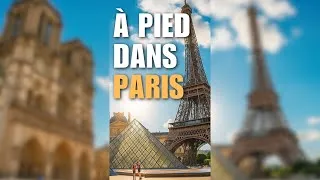 Miniature : Paris à pied: balade de Notre-Dame à la Tour Eiffel !
