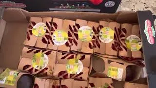 Miniature : Récup dans la poubelle du magasin(JE SUIS DE RETOUR GROSSE RRCUP DE LÉGUMES BISOUS👌)