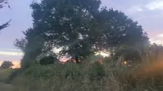 Miniature : Sunrise in a Heatwave in France| Short Video