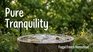 Miniature : A Moment of Tranquility | Relax & let Stress Drift Away | Frugal French Homestead in a Heatwave