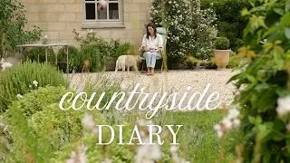 Miniature : 77 - My Favorite Kind of Days / Finding Happiness in the French Countryside