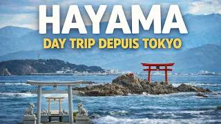 Miniature : À 1h30 de Tokyo, cette ville côtière vaut vraiment le détour