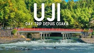 Miniature : Uji : la ville secrète du matcha à 30 min d'Osaka
