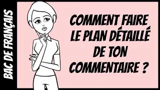 Miniature : Comment faire le plan détaillé de ton commentaire ?