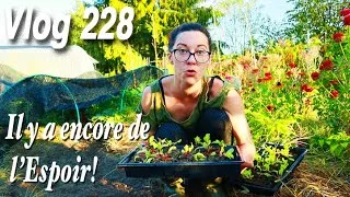 Miniature : Heureusement, il nous reste le Potager d'Automne/Hiver... -Vlog 228-