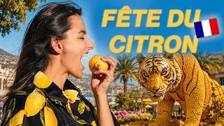 Miniature : Do you know this French lemon festival ?