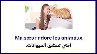 Miniature : 🇫🇷 50 Phrases de la vie quotidienne en français | Apprenez le français facilement