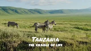 Miniature : Tanzania : The cradle of life [4K]