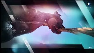 Miniature : [T18] Sans collier new intro
