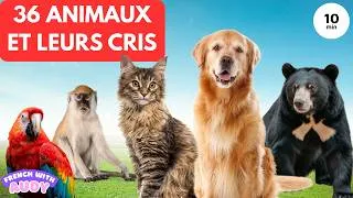 Miniature : Apprendre les Noms des Animaux et Écouter Leurs Cris |  Vidéo Éducative Français | French With Audy