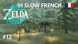 Miniature : Zelda Tears of the Kingdom #12 - Slow French