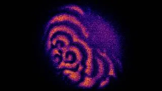 Miniature : Fécondation d’un ovule d’étoile de mer et propagation de vagues spiralées