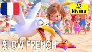 Miniature : French Conversations for Beginnersm A2 | A Family saves the sea stars at the beach
