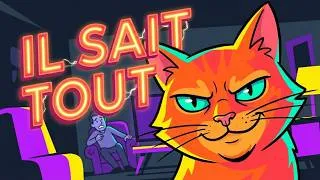 Miniature : Pourquoi Ton Chat Te Fixe : 7 Significations Que Tu Ignores