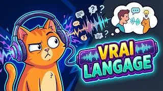 Miniature : Mon chat ne comprend pas NON ? Ce qu'il entend VRAIMENT (et comment lui parler)