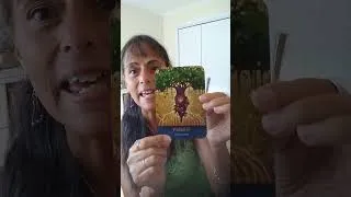 Miniature : Alignement avec la Confiance et Tirage d'oracle 💗🤗😁