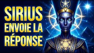 Miniature : Graine Stellaire : Fatigué d'Attendre? Sirius Vient d'Envoyer la Réponse | Siriens ✨