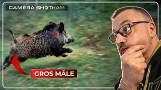 Miniature : CHASSE AUX SANGLIERS (tir de gros mâles à la ShotKam)