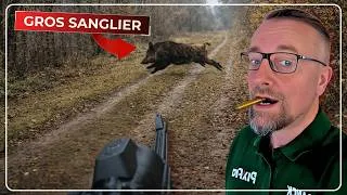 Miniature : CHASSE DE FOLIE EN BATTUE : tir d'un gros keiler