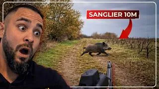 Miniature : CHASSE 100% SANGLIERS (5 tirs sangliers lors de chasse en battue)