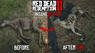 Miniature : 24 Détails Insensés sur Red Dead Redemption 2