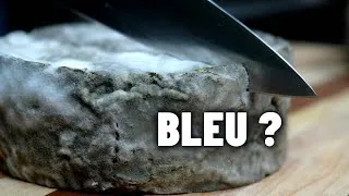 Miniature : Camembert et bleu dans un même fromage… est-ce une bonne idée ?