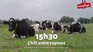 Miniature : Entremont - 24 heures avec Calamity !