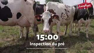 Miniature : Entremont - 24 heures avec Simone !