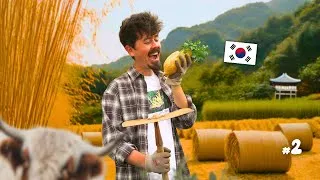 Miniature : Je deviens agriculteur en Corée du Sud 🇰🇷 - vlog n°2