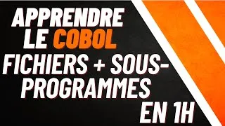 Miniature : Tout Savoir sur la Manipulation des Fichiers et les Sous-Programmes en 1H
