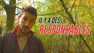 Miniature : À qui profite la chute de la France. 🇫🇷 📉