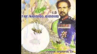 Miniature : MEGAMIX "SHINING RIDDIM" by FUGEE BRASKO Selecta