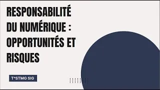 Miniature : Risques et numérique
