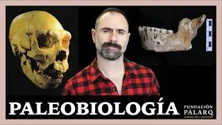 Miniature : El Origen de la PALEOBIOLOGÍA: Cómo Aprendimos a LEER los Fósiles 🦴